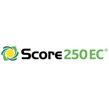 Score 250 EC - 0